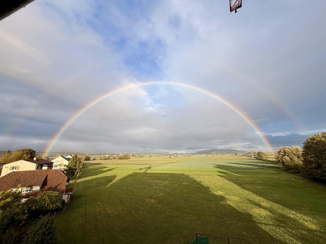 Aussicht ins Grüne mit Regenbogen